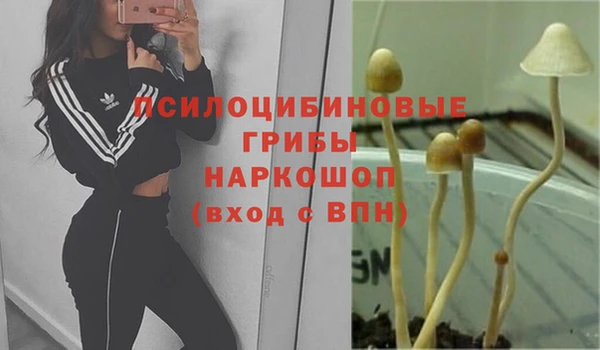 кокс Алексеевка