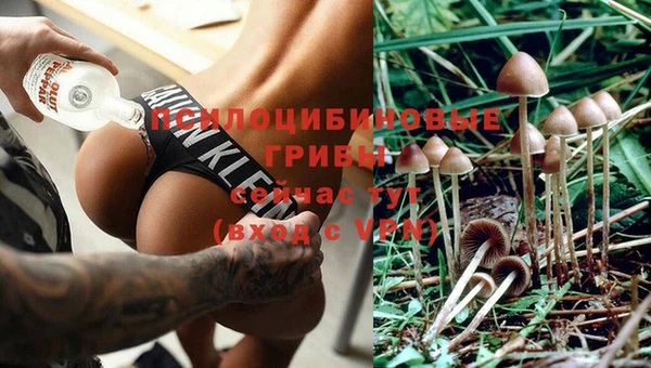 кокс Алексеевка